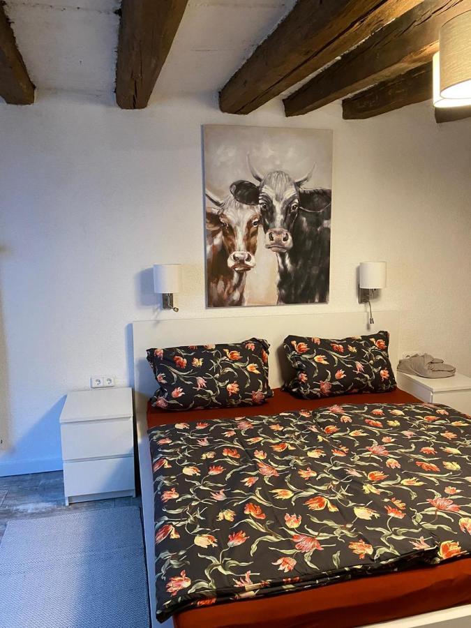 Schoene Ferienwohnung Gewoelbekeller Fachwerkhaus Bacharach Exteriör bild